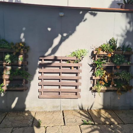 Pardelo Apartment Costa Adeje  Exterior photo
